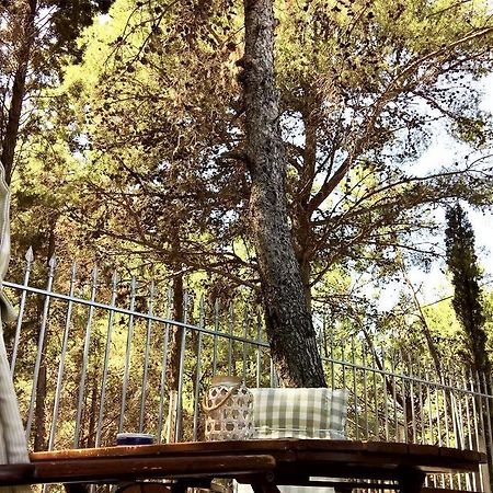 Malibu Studios & Apartments لاسي المظهر الخارجي الصورة