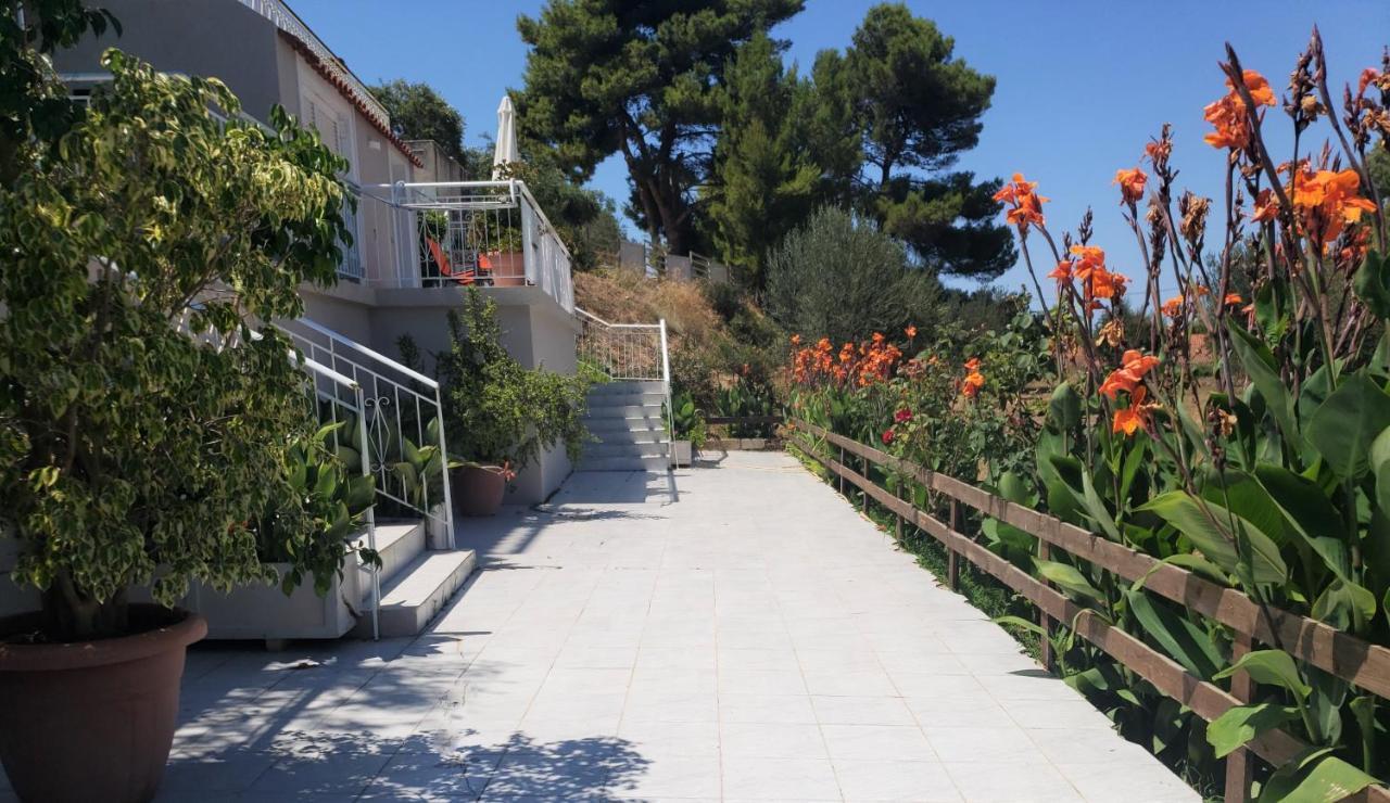 Malibu Studios & Apartments لاسي المظهر الخارجي الصورة