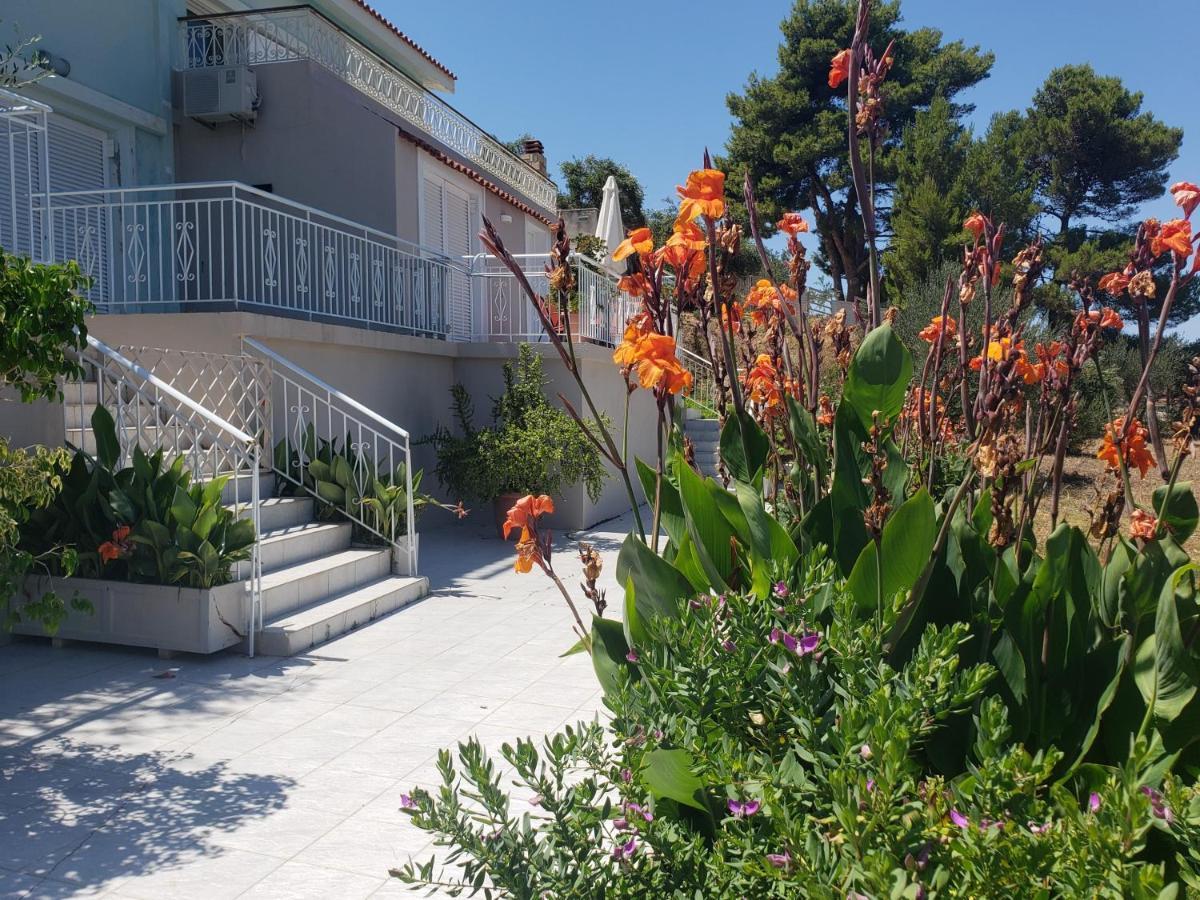 Malibu Studios & Apartments لاسي المظهر الخارجي الصورة