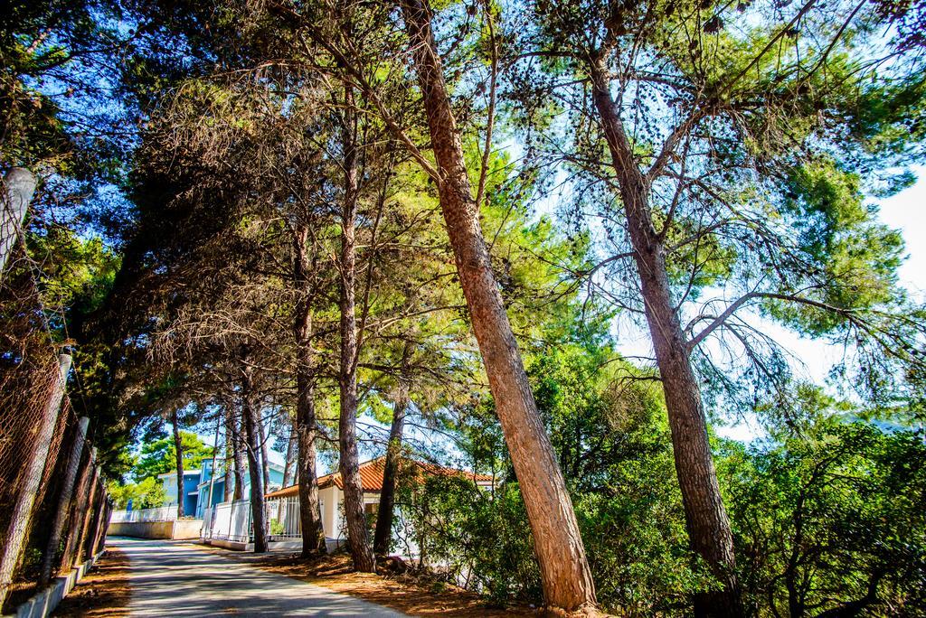 Malibu Studios & Apartments لاسي المظهر الخارجي الصورة