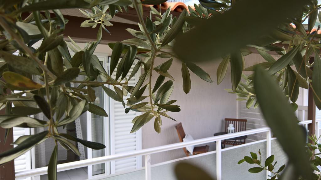 Malibu Studios & Apartments لاسي المظهر الخارجي الصورة