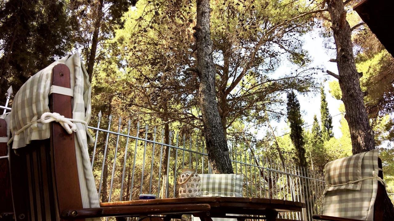 Malibu Studios & Apartments لاسي المظهر الخارجي الصورة