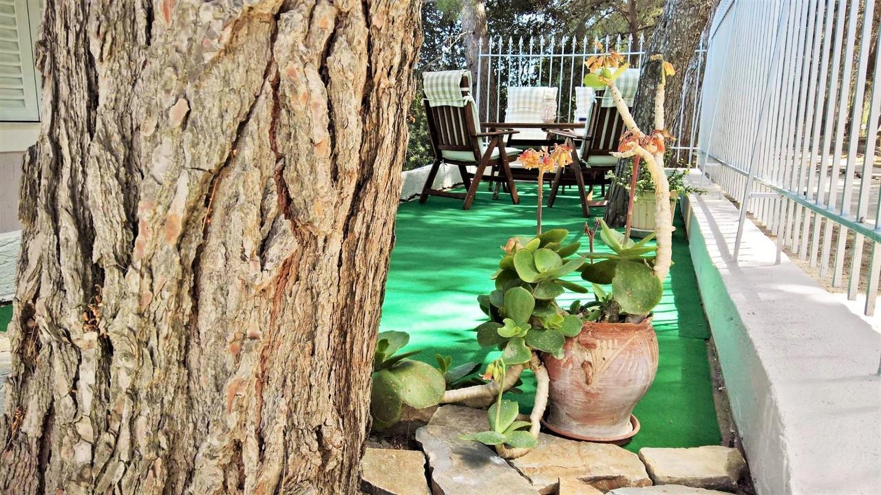 Malibu Studios & Apartments لاسي المظهر الخارجي الصورة